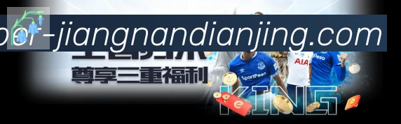企业概况
